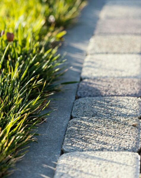 natural-grass-close-up_23-2148858213 natural-grass-close-up_23-2148858213